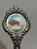 Wainwright Alberta Bison Buffalo Silverplated Alberta Souvenir Spoon