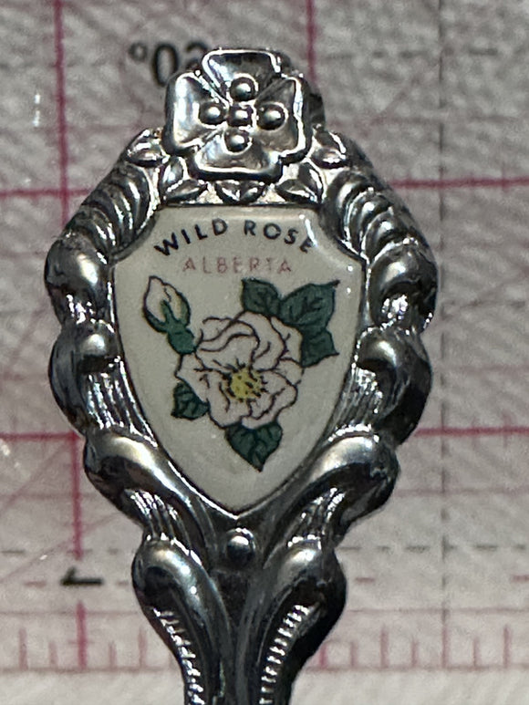 Wild Rose Alberta  Souvenir Spoon