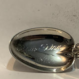 Bow Island Alberta Carrot Collectable Souvenir Spoon AR