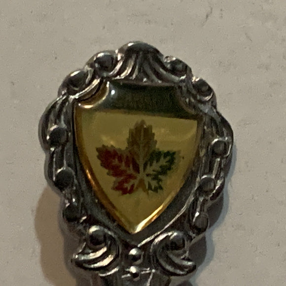 Banff Gondola Canada Alberta Painted Bowl Collectable Souvenir Spoon AR