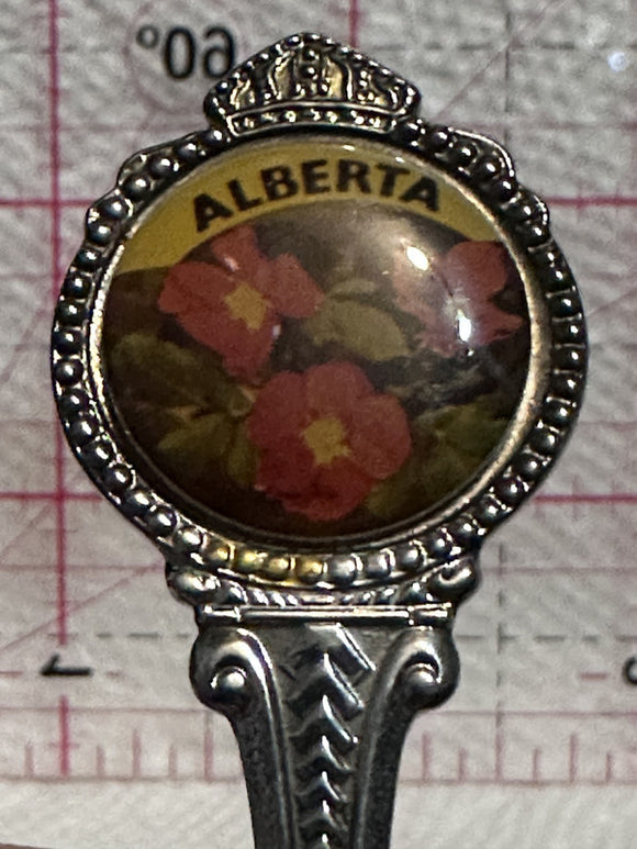 Fort McMurray Alberta Wild Rose Silver Plated  Souvenir Spoon