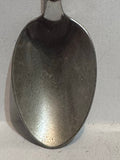 Arizona Cactus Desert Arizona Souvenir Spoon