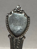 Arizona Cactus Desert Arizona Souvenir Spoon