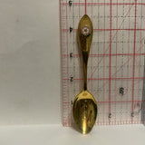 Calagary Alberta Wild Rose Collectable Souvenir Spoon DW