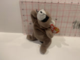 Ringo Raccoon Ty Beanie Babies  Plush Stuffed Toy AA