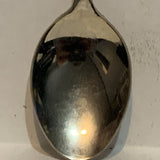 Penticton Ogopogo British Columbia Collectable Souvenir Spoon AR