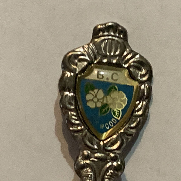 Fairmont Hot Springs British Columbia Collectable Souvenir Spoon AS