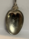 Caroline Alberta Wild Rose Flower Souvenir Spoon