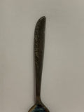 W C C '07 Souvenir Spoon