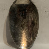 Wild Rose Alberta 1951 1976 Collectable Souvenir Spoon DX