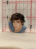 One Direction Liam Payne Teen Idol Button Pinback
