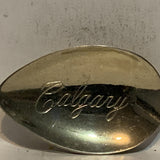 Calgary Alberta Wild Rose Flower Collectable Souvenir Spoon AS