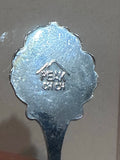 Rototrua New Zealand Kiwi Bird Peak New Zealand Souvenir Spoon
