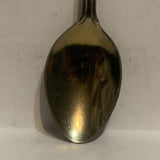 Grand Canyon Collectable Souvenir Spoon DY
