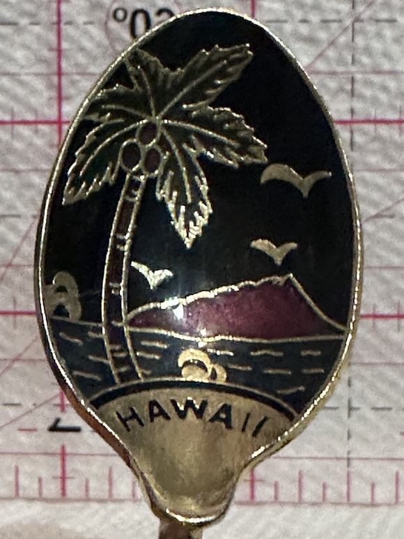 Hawaii Beach  Souvenir Spoon