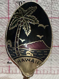 Hawaii Beach  Souvenir Spoon
