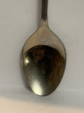 Hot Springs Nakusp British Columbia Souvenir Spoon