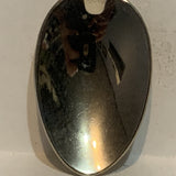 Arizona Desert Cactus Collectable Souvenir Spoon AU