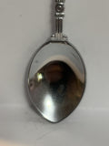 Canadian Rockies Mountains Souvenir Spoon