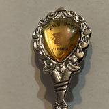 Hinton Alberta Wild Rose Flower Collectable Souvenir Spoon AU