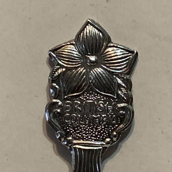 Fairmont Hot Springs British Columbia Collectable Souvenir Spoon AU