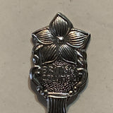 Fairmont Hot Springs British Columbia Collectable Souvenir Spoon AU
