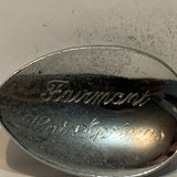 Fairmont Hot Springs British Columbia Collectable Souvenir Spoon AU