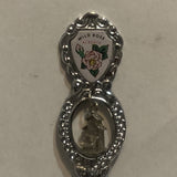 Wild Rose Alberta Grain Elevator Collectable Souvenir Spoon DZ