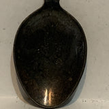 Salmon Fish Collectable Souvenir Spoon AV