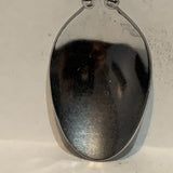 David Thompson Resort Canada Alberta Collectable Souvenir Spoon AX