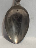 San Diego Zoo Wild Animal Park California  Souvenir Spoon
