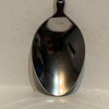 Desert Botanical Garden Collectable Souvenir Spoon AY