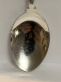 Fiji Tropical Fish Souvenir Spoon