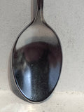 South Dakota Pheasent Bird  Souvenir Spoon