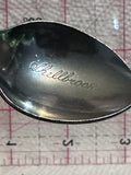 Shellbrook Saskatchewan Prairie Lily  Souvenir Spoon