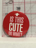 Is this Cute or What Button Pinback
