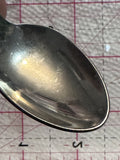 North Dakota Bison  Souvenir Spoon