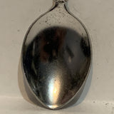 David Thompson Resort Canada Alberta Bear Collectable Souvenir Spoon BA