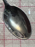 Badlands South Dakota  Souvenir Spoon