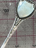 Badlands South Dakota  Souvenir Spoon