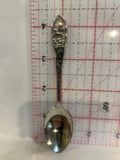 Colorado Flowers Souvenir Spoon