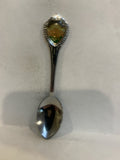Colorado Mountains Souvenir Spoon