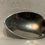 Bellingham Washington The Evergreen State Collectable Souvenir Spoon BB