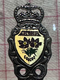 Virden Manitoba Crocus Flower  Souvenir Spoon