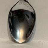 Arizona Grand Canyon State Collectable Souvenir Spoon BB