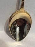 Kiwi Bird New Zealand   Souvenir Spoon