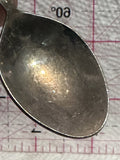 New Zealand Kiwi Bird  Souvenir Spoon