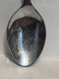 Grand Canyon National Park Arizona  Souvenir Spoon