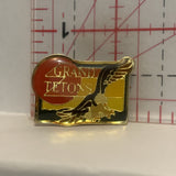 Grand Tetons Bald Eagle Wyoming Lapel Hat Pin