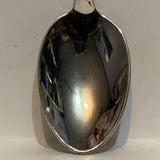 Arizona Cactus Collectable Souvenir Spoon BD